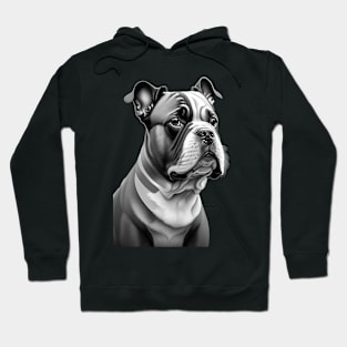 I love dogs Hoodie